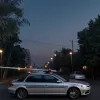 У Мангаймі поліція зупинила авто з чотириметровим бамбуком, що стирчав з люка