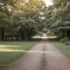 Жизель Бюндхен показала нове щастя: фото з дітьми та коханим "ранить" Тома Бреді?