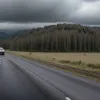 Автомобіль Opel злетів у кювет у Німеччині: водій не постраждав