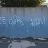 У Німеччині затримали 25-річного чоловіка за вандалізм та напад