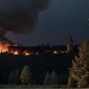 У Німеччині загасили лісову пожежу біля замку Бервартштайн: поліція розслідує причини