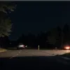 Аварія в Німеччині: водій об'їжджав тварину та врізався в дерева, троє дітей отримали важкі травми