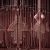 Перша у світі успішна трансплантація сечового міхура: Прорив американських хірургів
