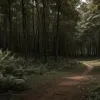 Засновник "7 vs. Wild" Фріц Майнеке оголосив про вихід з проєкту