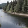 Затримання у Фрайбурзі: Чоловік чіплявся до підлітків-плавців на озері в Німеччині