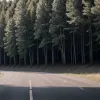 Курйозне ДТП у Чехії: Причіп, що відчепився, збив пішохода на порожній вулиці (ВІДЕО)