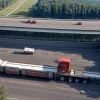 У Німеччині фура з 640 свинями спричинила масштабну ДТП і перекрила трасу А24