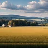 Від майстра-м'ясника до міністра: Хто такий Алоїс Райнер, новий очільник Мінагрополітики Німеччини