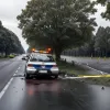У Німеччині 53-річний водій отримав тяжкі травми після зіткнення з деревом