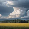 Народна прикмета Зібеншлефер: Якою буде погода влітку?