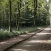 Трагедія в Німеччині: у Дорстені вбито українку та її малолітню доньку, затримано підлітка-українця