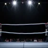 Бокс: Леон Харт прагне третього титульного бою, змагаючись за пояс WBA в Німеччині