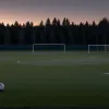 Скандальне звільнення: Тренера Бернда Шторка вигнали з "Серкль Брюгге" по телефону в машині