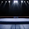NXT Battleground: Трік Вільямс здобув титул чемпіона світу TNA у несподіваному матчі