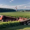 У Німеччині перекинувся трактор: 16-річний водій постраждав, значні збитки