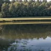 Зниклого з січня батька сімейства з Баден-Бадена знайшли вбитим у ставку за 40 км