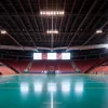 Гандбол. Ліга чемпіонів ЄГФ: «Фюксе Берлін» проти «Нанту» у півфіналі Фіналу чотирьох. Де дивитись?
