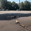 Кривава бійка з мачете та кийками в Ессені: є поранені та затриманий
