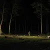 Катастрофа легкого літака в Німеччині: Знайдено уламки, тривають пошуки пілота
