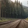 У Дортмунді затримали литовця за крадіжку кабелю Deutsche Bahn: знайшли наркотики