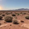 Європу накрила аномальна спека: температура місцями перевищить +40°C та загрожує рекордами