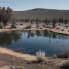 У Людвігсгафені одноразовий гриль спричинив пожежу біля водойми