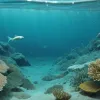Тріска в Балтійському морі "зменшилася": надмірний вилов та зміни клімату спричинили еволюцію