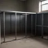 У Німеччині з притулку викрали хворих англійських бульдогів: просять допомоги у розшуку