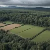 Перший випадок африканської чуми свиней зафіксовано у Північному Рейні-Вестфалії, Німеччина