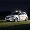 У Німеччині невідомі викинули кролика з машини посеред ночі