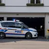 У Німеччині поліція розслідує незаконний забій вівці у гаражі в Ульмі