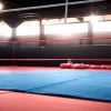 Леон Харт здобув пояс WBA Continental і наблизився до третьої спроби виграти світовий титул