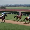 Скачки в Гамбурзі: Тор Хаммер-Хансен тріумфує на старті Дербі-мітингу