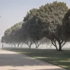 Німеччину накрила перша сильна спека: до +34°C та пожежі