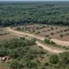 У Нігерії внаслідок збройного нападу на село загинули щонайменше 100 людей