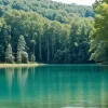 Якість води в озерах Німеччини: Експерти назвали водойми, де безпечно купатися, а де є заборона