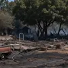 Масштабна пожежа у Ноймюнстері: знищено садові будинки, перекрито залізницю