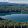 Тривога у Саксонії-Ангальт: Пошук пуми біля озера Гейзельтальзеє та попередження влади