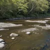 Аварія на каналізації в Німеччині: стічні води потрапили в річку Унструт на Айхсфельді