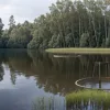 У Німеччині шукають алігатора у водоймі: хижак міг потрапити туди з незаконної ферми