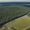 Німеччина: У Саксонії під вітряки та сонячні панелі планують вирубати ліси площею 250 футбольних полів