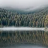 Скандал у Німеччині: літні люди обурені забороною на купання голяка на озері