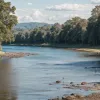 У річці Ельба біля Хазелау знайшли тіло чоловіка