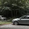 У Німеччині Volkswagen Passat врізався в дерево: двоє легко травмовані