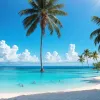 Реаліті-шоу "FBoy Island" з'явиться на Amazon Prime Video: Концепція, учасники та дата прем'єри в Німеччині