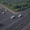 Слон спричинив хаос та паніку на автостраді в Індії, заблокувавши рух