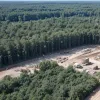 Казковий ліс братів Грімм під загрозою: будівництво вітропарку нищить Рейнгардсвальд
