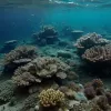 Балтійське та Північне моря: На дні криється смертельна небезпека часів Другої світової