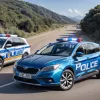 Нідерландець з ордером на арешт затриманий поліцією в Німеччині