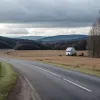 У Німеччині викинули кошеня з фургона на ходу: поліція веде розслідування